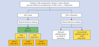 Editors Choice – European Society for Vascular Surgery (ESVS) 2022  Clinical Practice Guidelines on the Management of Chronic Venous Disease of  the Lower Limbs - European Journal of Vascular and Endovascular Surgery