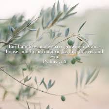 Pin On Bits Of Blessings