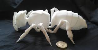 Fascinating 3d Printed Animatronic Honey Bee 3d Printing Diy 3d Printer Designs 3d Printing