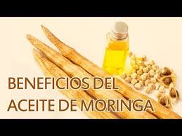 Beneficios Del Aceite De Moringa Youtube Moringa Moringa Beneficios Semilla De Moringa