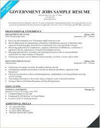 Administrative assistants should have a good standard of english, strong organisational skills and a high degree of attention to detail. Resume Format For Government Job Philippines Job Resume Template Resume Examples Job Resume Format