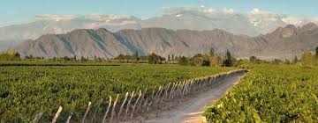 Uzbekistan Environment | Euroasia Travels