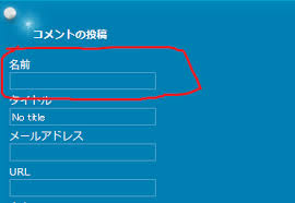 コメントをするときに名前の欄を空欄にした場合こうします 列外派星くず日記