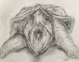 Anyway, although only an engraving that hasn't been colorized, this snapping turtle drawing features a lot of. Alligator Snapping Turtle Drawing By Lawrence Paull