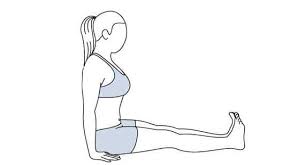 Dandasana Yoga Staff Pose Steps And Benefits Eyogaguru Com