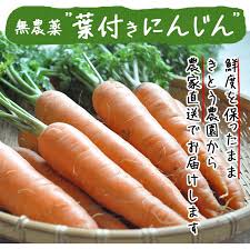 楽天市場 無農薬 にんじん 人参 葉付き人参 送料無料 3kg 無農薬ニンジン 人参ジュース 西日本 葉付 静岡産 化学肥料不使用 通販 宅配 産地直送 農家直送 きとう農園 ときわオンライン