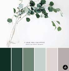 A Eucalyptus Inspired Color Palette Creative Brands For Creative People Akula Kreative Nature Color Palette Green Colour Palette Color Schemes Colour Palettes