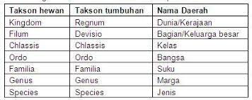 We did not find results for: Urutan Tingkat Takson Dari Yang Tertinggi Sampai Terendah Adalah