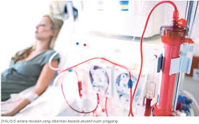 Sakit pinggang yang dialami sebagian orang, terkadang sering dianggap sepele. Kian Ramai Rosak Buah Pinggang Hospital Pengajar Universiti Putra Malaysia