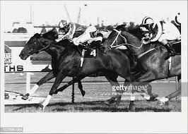 Race 8 -- Winner No 4 Zaparri.Jockey