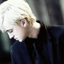 He is a student in harry potter's year belonging in the. The Mudblood And The Spoiled Prat Draco Malfoy X Reader One Shots