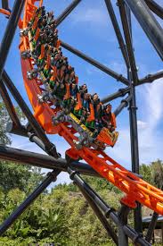 Take On The All New Tigris At Busch Gardens In Tampa Florida Visit Marriedtotheworld Com Or Follow Busch Gardens Tampa Bay Busch Gardens Tampa Busch Gardens