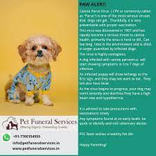 Pet memorial services has 4 stars. Pet Funeral Services Home Facebook