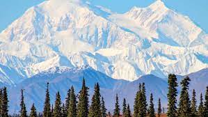 Denali national park is 6 million acres and has 1. Denali Nationalpark Alaska Tickets Eintrittskarten