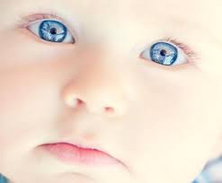 Jenny Porter Photography