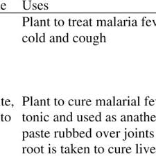 Image result for Swertia kilimandscharica