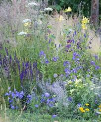 Wildblumenbeet Garten Pflanzen Garten Pflanzen