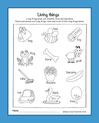 From lifecycles to the five senses, kids learn about humans and the world around them in fun new ways. Science Worksheets Examples For Students Pdf Worksheet Planet Report Example1 Daily Preschool Feelings Printables First Grade Math Facts Subtraction 1 1st Practice Sallie Mae Budget Calamityjanetheshow