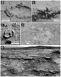 Image result for Blendtone Gray 1977 Hussmann