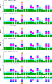 Image result for Coccinia subsessiliflora