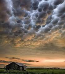 Mammatus clouds in austin (courtesy of janet butler) mammatus clouds in travis county (courtesy laura dow) rainbows: Mammatus Clouds Damnthatsinteresting