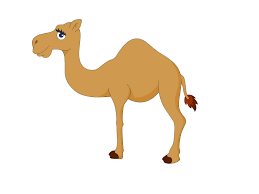 Try to use only smooth lines for the animal to draw more carefully the eye and the ear. Cute Easy Drawing Camel Page 1 Line 17qq Com