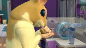 Cats & dogs command center expansion pack household mod the . Hamsters Rats And Hedgehogs Are Being Added To The Sims 4 In A New Stuff Pack Dot Esports