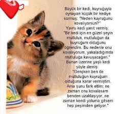 Kedi Kuyrugu Ve Mutluluk Kedi Evcil Hayvanlar Yavru Kediler