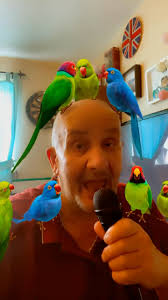 When I said I wanted to make a video surrounded by foreign birds I didn’t  quite have this in mind 🤪🤪 Here’s my attempt to sing “Three Little Birds”  by Bob Marley and the Wailers it reached No17 in the ...