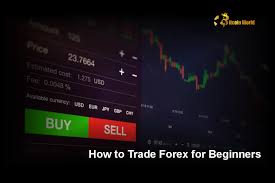 How to Trade Forex for Beginners: A Step-by-Step Guide - BitcoinWorld