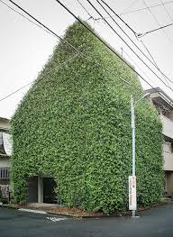 Green House Green Architecture Green Facade Architecture