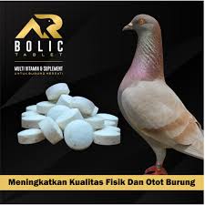 Check spelling or type a new query. Rahasia Juara Merpati Balap Doping Jamu Merpati Balap Jamu Burung Dara Arbolic Eceran 1 Butir Shopee Indonesia