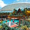 Story image for Puerto Rico: Jewel of the Caribbean from Cruise Fever