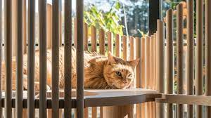 品味貓奴必備高質感貓樹屋 deco 家室內設計及裝潢平台 modern cat tree cat tree cat tree designs