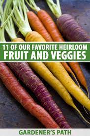 Our heritage vegetable selector charts are a great resource to help you decide which varieties are right for your situation. Grow Heirloom Fruits Vegetables With 11 Top Varieties Gardener S Path