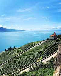 Suisse Paysages In 2020 Switzerland Tourism Tourism Switzerland