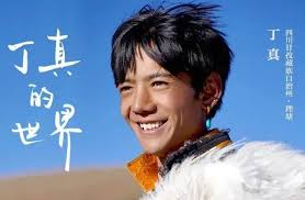 如何从生物学角度分析丁真的爆红？-虎嗅网