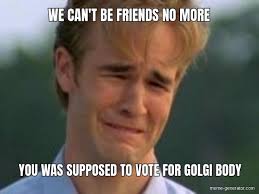 We Can T Be Friends No More You Was Supposed To Vote For Meme Generator