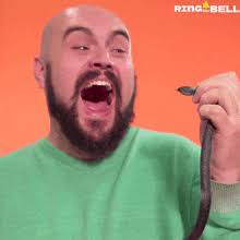 IBSP Barn Owl Conservation Project by Friends of Island Beach State Park