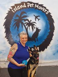Pet shipping companies to hawaii. Specialized Shipping For Pets Small Business Island Pet Movers Kari Mendoza Pacific Business News