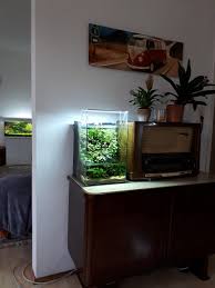 My Terra 30 And The Big 180l Tank R Plantedtank
