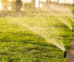 Water the entire lawn when that area begins to show symptoms. 12 Lawn Care Myths Busted For National Lawn Care Month