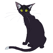 Pin On Cats And Kittens