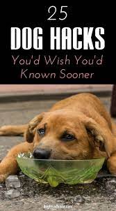 25 Awesome Dog Hacks You D Wish You D Known Sooner Dog Hacks Dog Remedies Baby Dogs