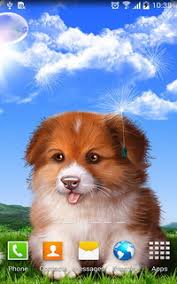 Animal Live Wallpapers For Android