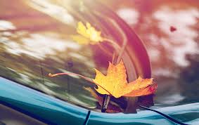 Michael lanteri , fort collins, co. Fall Vehicle Maintenance Checklist Quick Set Auto Glass