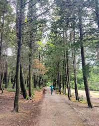 By dubuddha january 11, 2017. Athens Walks Exploring The Former Royal Estate At Tatoi Greece Is