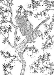 These big, sooty birds thrive among humans and in the back of beyond, stretching across the sky on easy. Hand Drawn Bird Raven On A Branch Apple Tree Coloring Page Royalty Free Cliparts Vectors And Stock Illustration Image 53656869