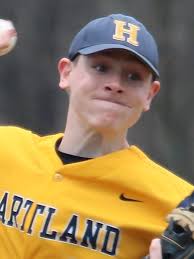 Meet the 2017 All-Livingston County baseball team