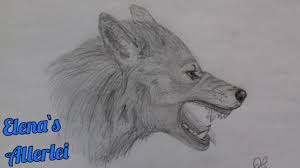 Gezeichneter Wolf 2 Fletschend Seitenansicht Beistift Auf Papier Youtube